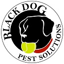 Black Dog Pest Solutions Service Logo